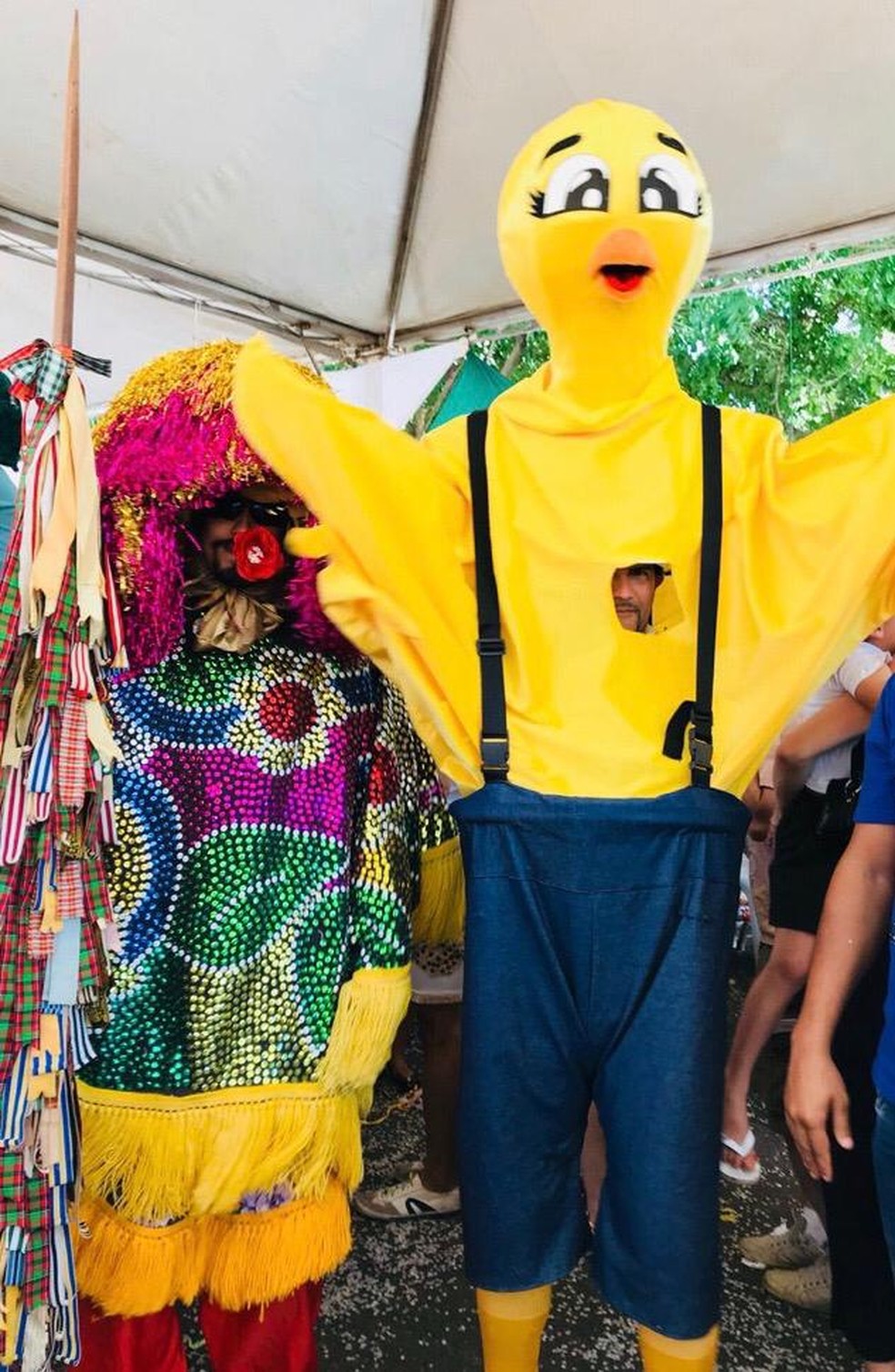Bloco infantil Pintinho de Brasília — Foto: Divulgação