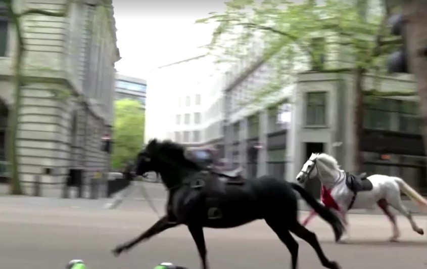Cavalos fogem e deixam feridos no Centro de Londres