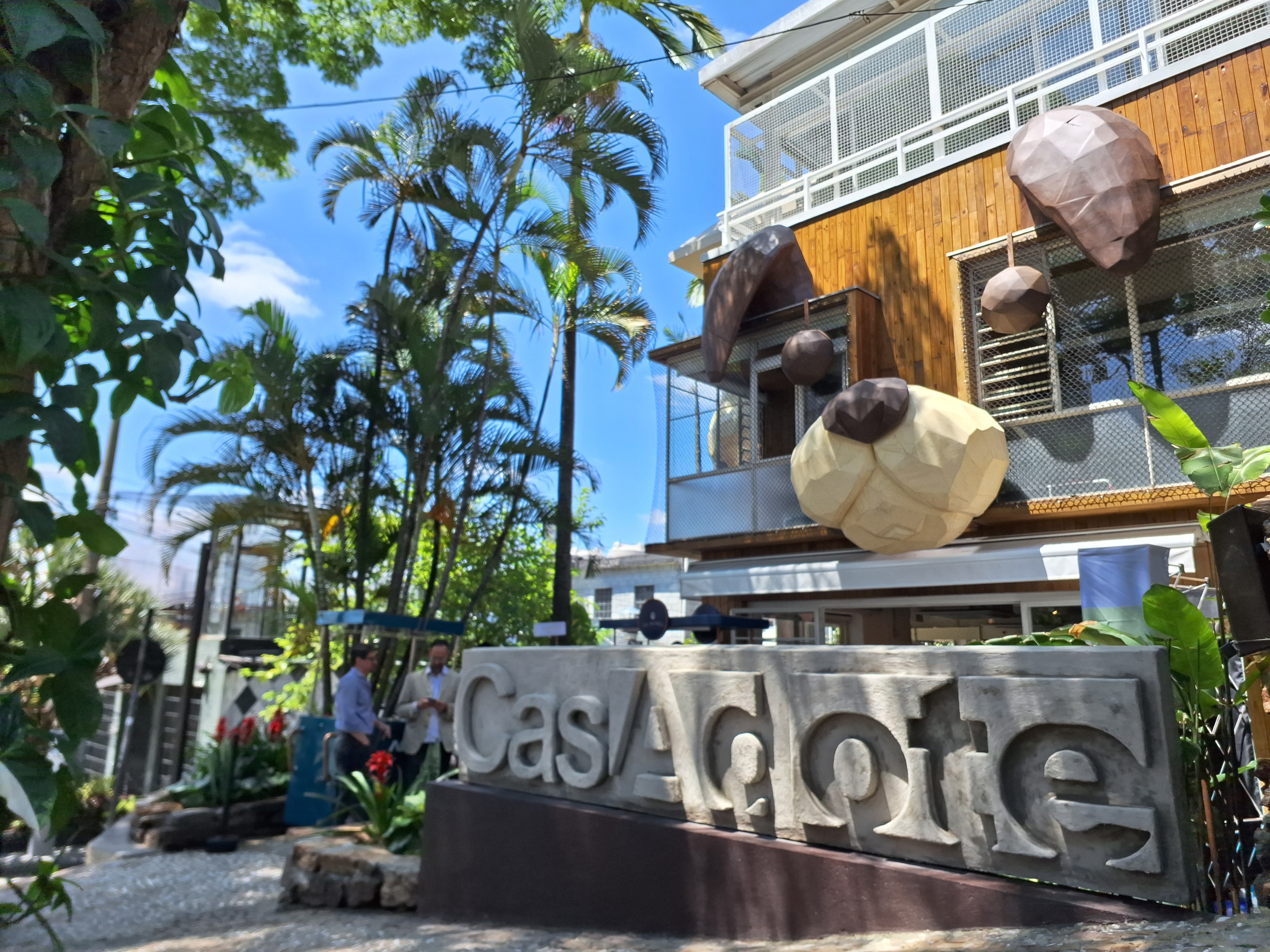 Risco alto de adoção: ONGs inauguram café em SP com andares recheados de cães e gatinhos para levar para casa