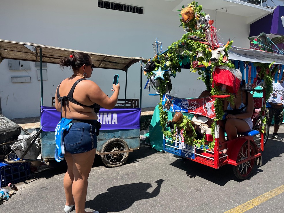 Enfeitado com plantas, animais da Amazônia e os bois Caprichoso e Garantido, o triciclo que ele trabalha chama a atenção de muitas pessoas que andam pelas ruas da cidade. — Foto: Patrick Marques/g1 AM