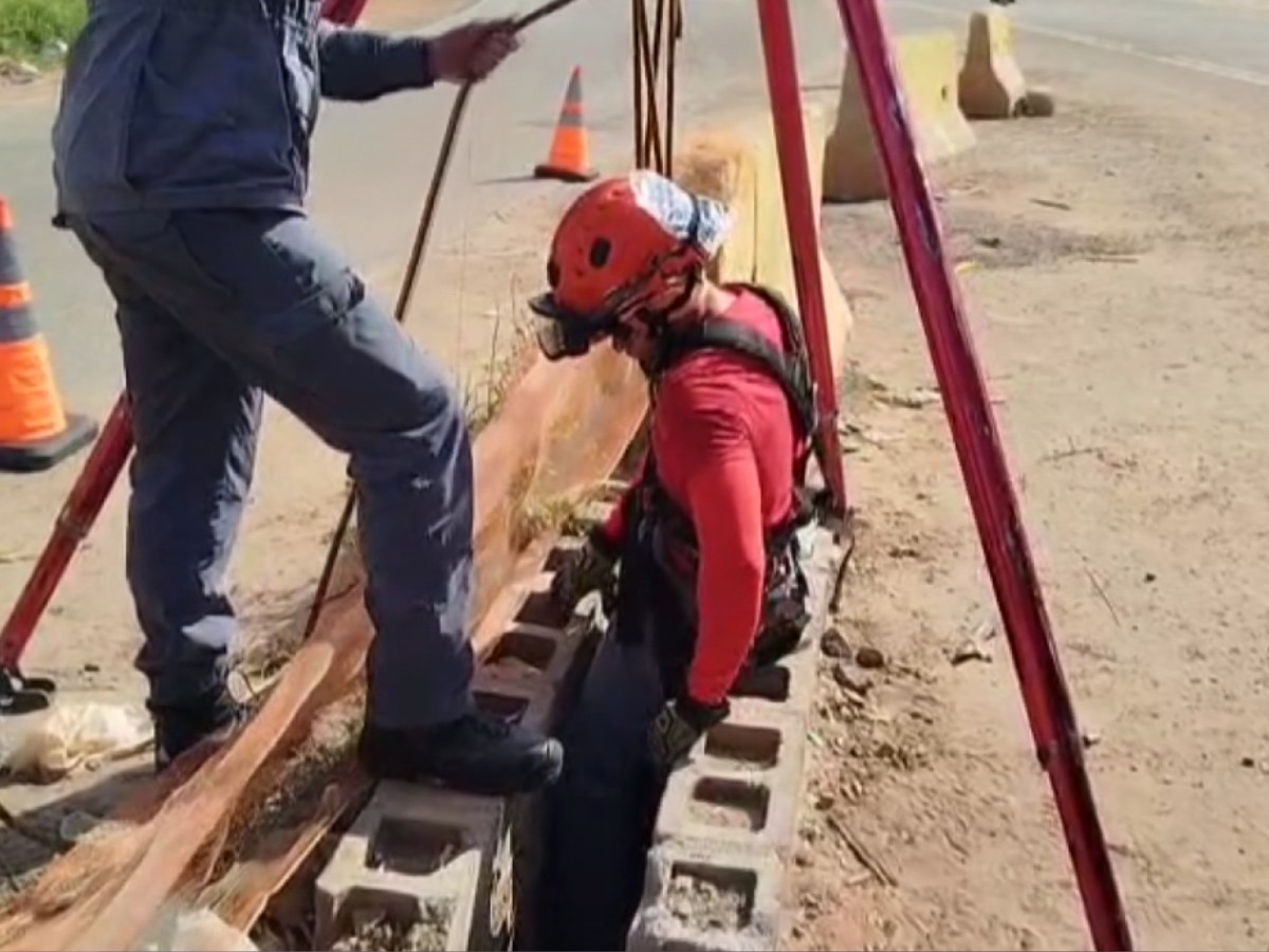VÍDEO: Cão é resgatado pelo Corpo de Bombeiros após cair em bueiro em Campinas