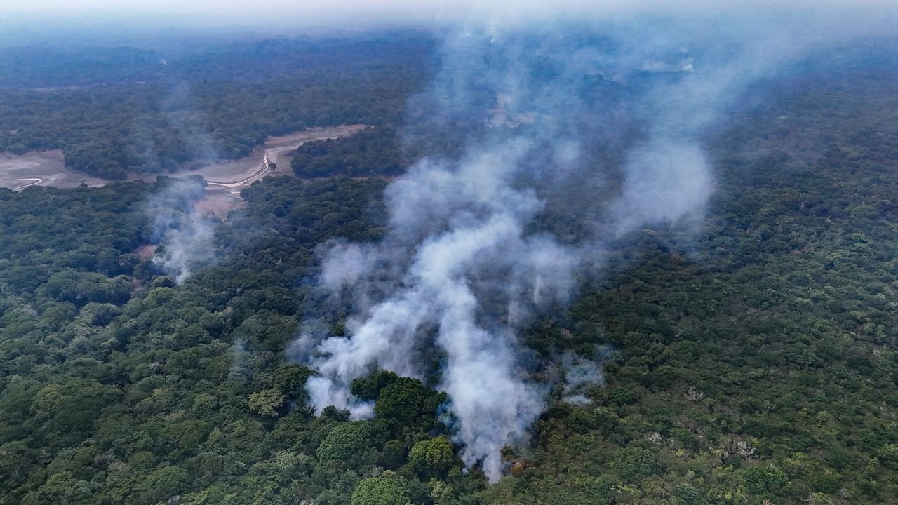 Incêndio avança sobre terra indígena no AM; moradores relatam morte de animais