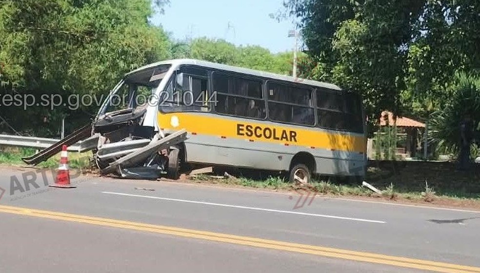 1 de 2
&Ocirc;nibus levava pacientes para consultas m&eacute;dicas em Hercul&acirc;ndia &mdash; Foto: CCM Artesp/ Divulga&ccedil;&atilde;o