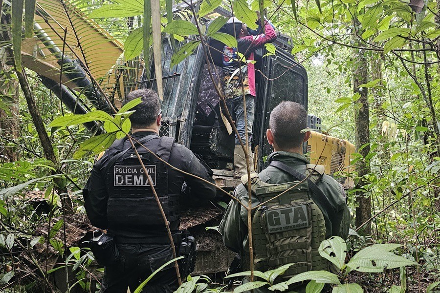 Ação 'Protetor dos biomas' apreende madeira ilegal, máquinas e arma de fogo em 5 municípios do Amapá