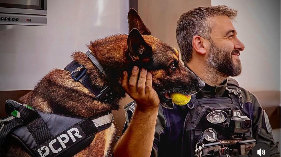 Juliano pretende adotar o Raio — Foto: Polícia Civil do Paraná