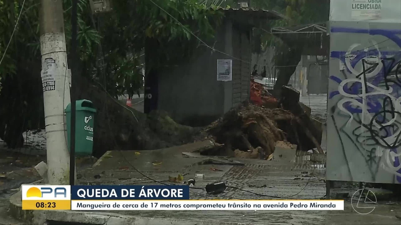 Árvores caem em Belém com chuvas fortes; mais de 5 mil casas ficam sem energia