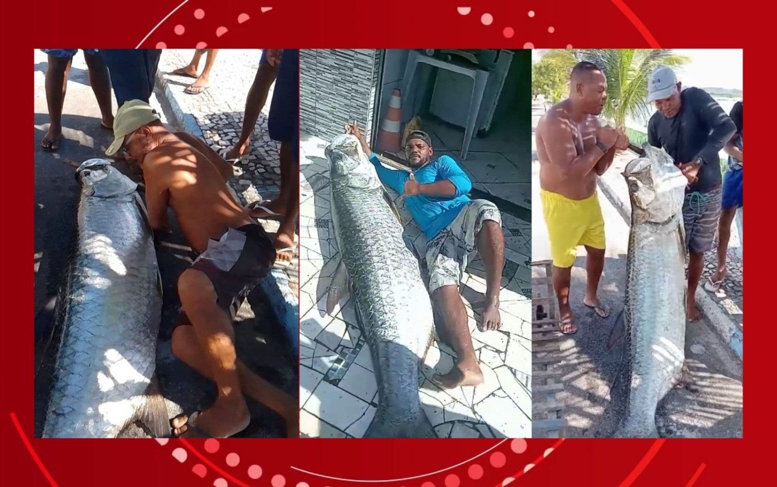 Baiano pesca peixe de quase 2 metros de comprimento e 120 quilos: 'Quatro homens para colocar na canoa'