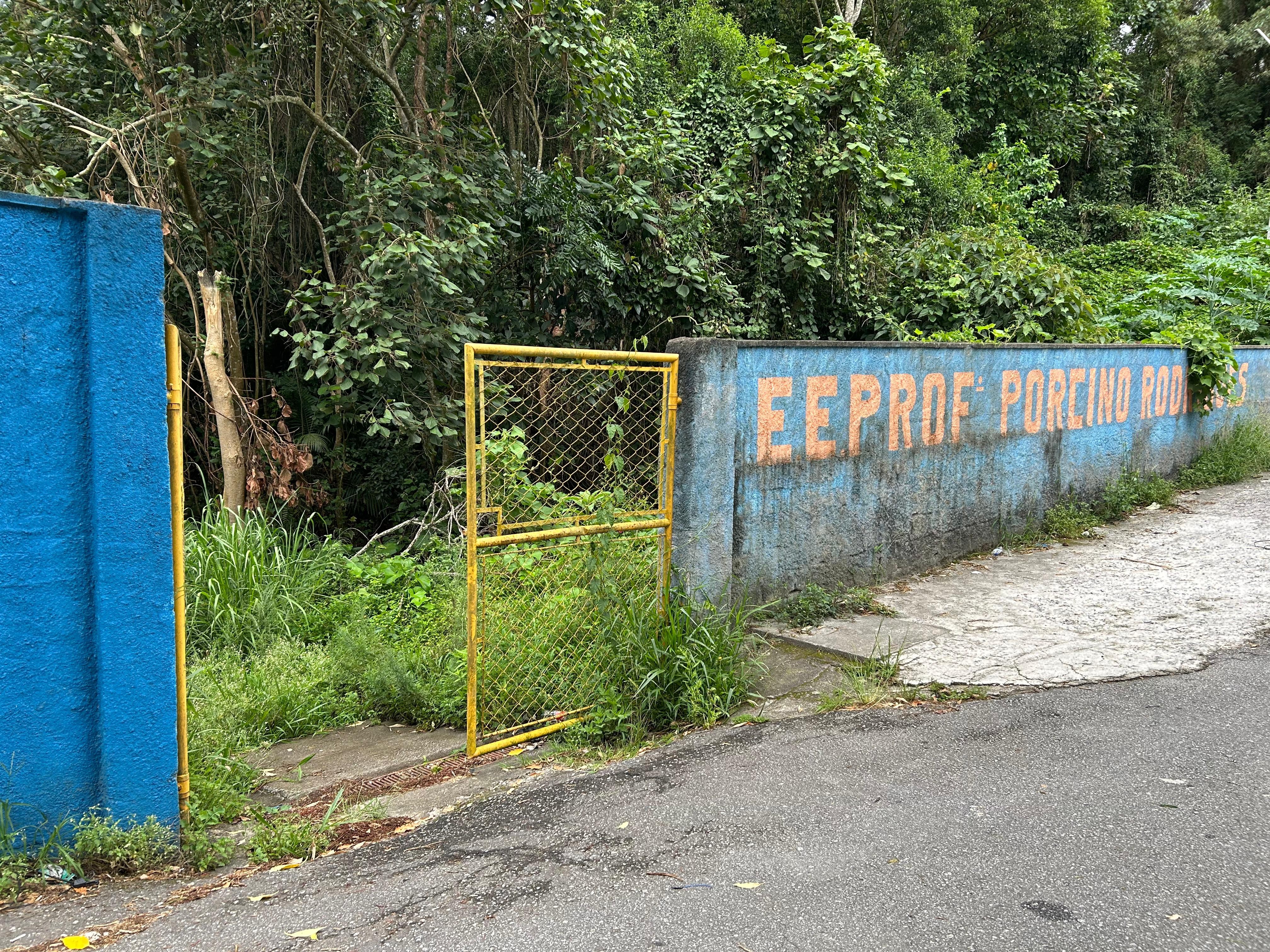 Escola é furtada três vezes em nove dias em Itapecerica da Serra, Grande SP; unidade está sem energia e tomada pelo mato