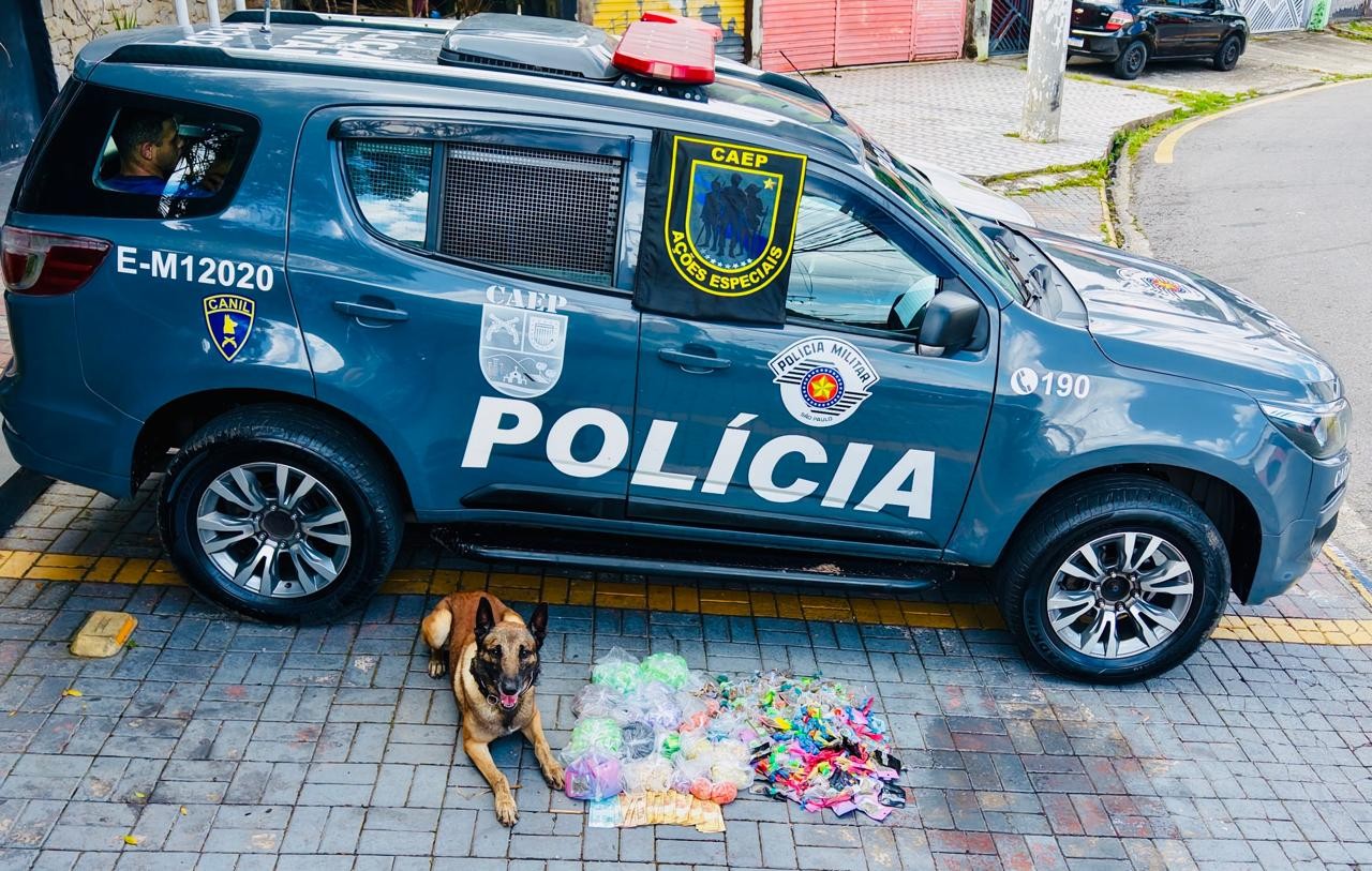 Cães farejadores da PM encontram mais de 6 kg de drogas em Ferraz de Vasconcelos