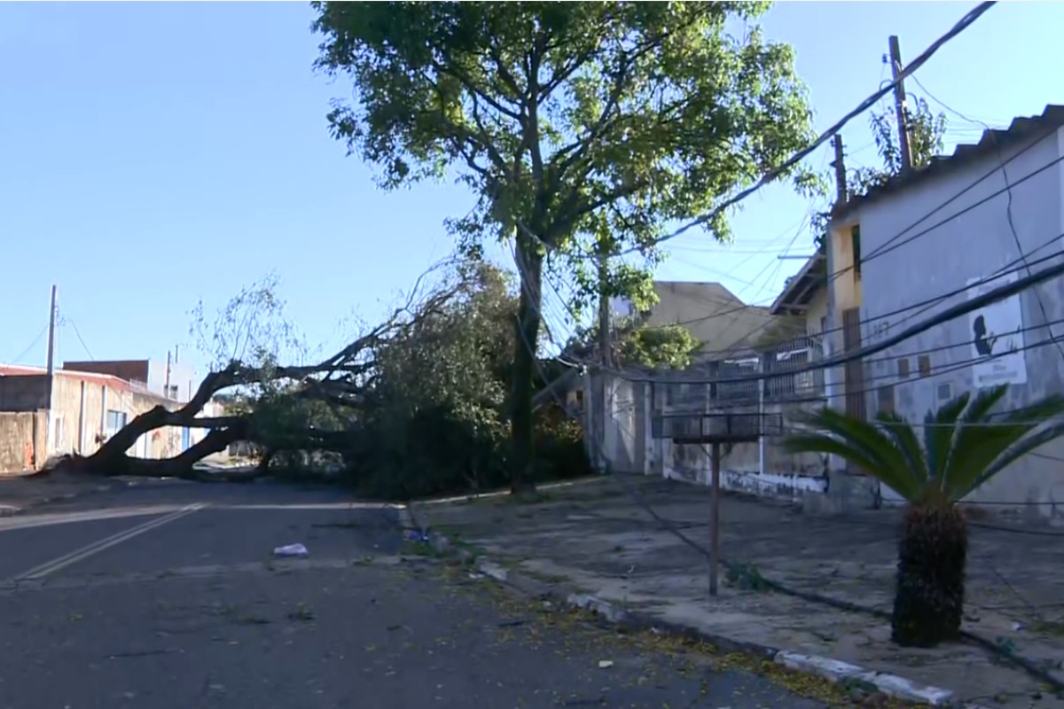 Família fica presa em casa por 24 horas após árvore e poste caírem durante temporal em Campinas