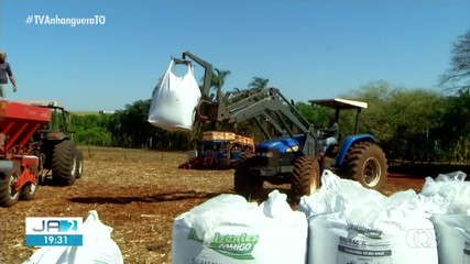 Veja os destaques do Globo Rural deste domingo (20)