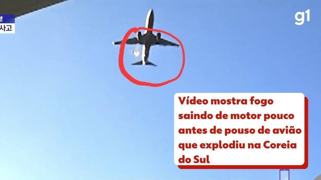 Penas de pássaro são encontradas em turbina de avião que bateu em muro e explodiu na Coreia do Sul; ministro dos Transportes anuncia renúncia