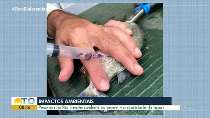 Pesquisa no Rio Javaés vai avaliar peixes e qualidade da água