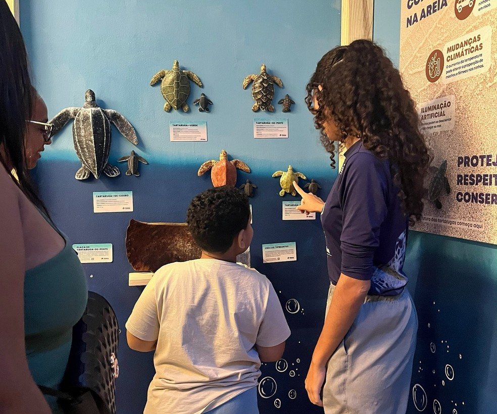 Exposição gratuita celebra o Dia Internacional das Tartarugas Marinhas no Midway Mall — Foto: Divulgação