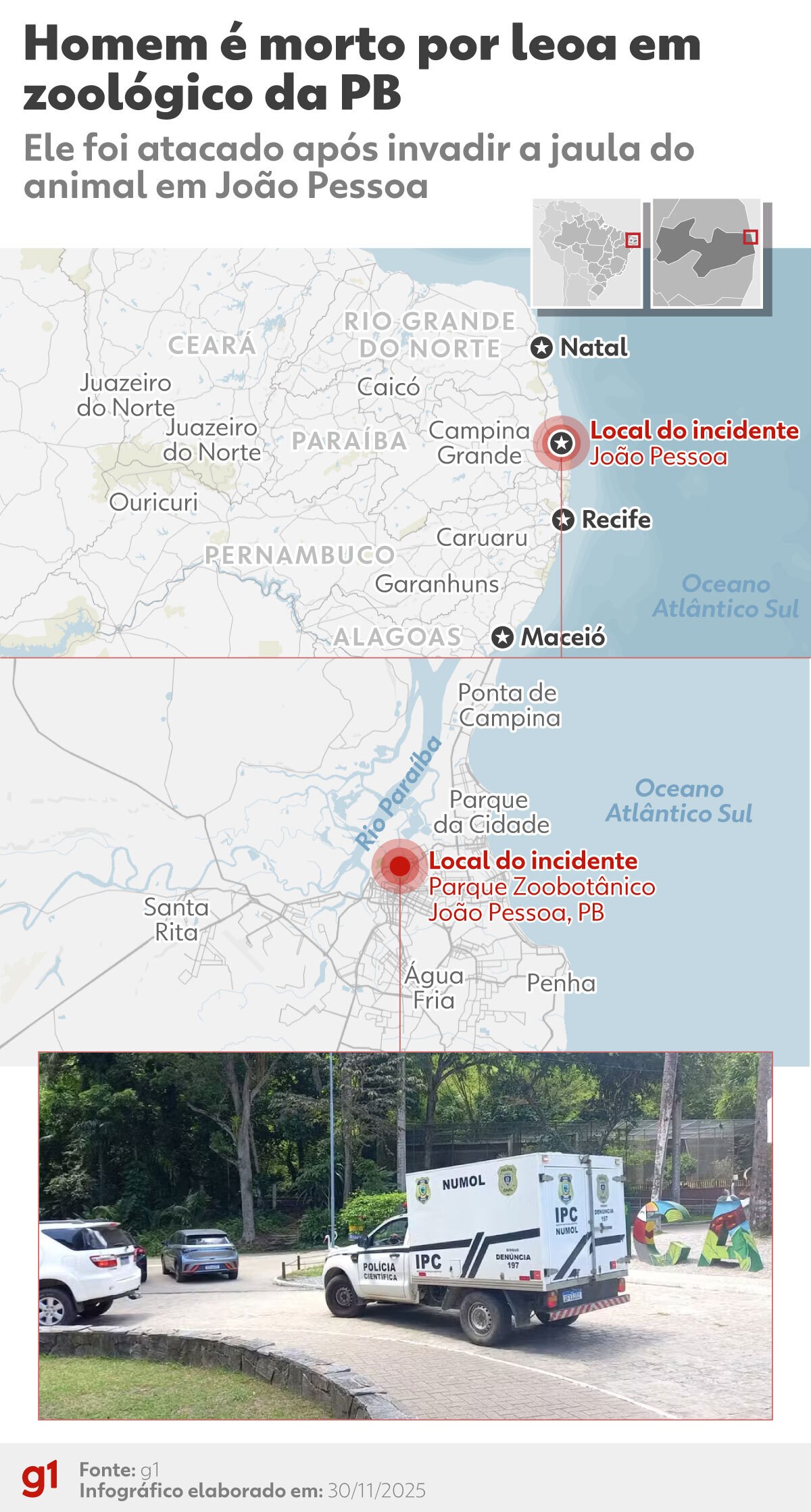 Leoa ficou 'estressada' e 'em choque' após invasão de jaula em zoológico, diz veterinário do Parque da Bica