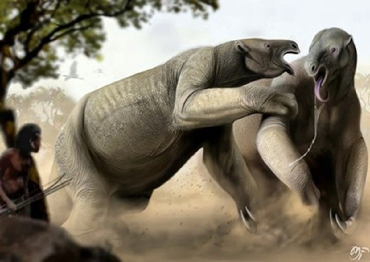 Fósseis de Preguiça-Gigante são descobertos no Geoparque Seridó, no RN