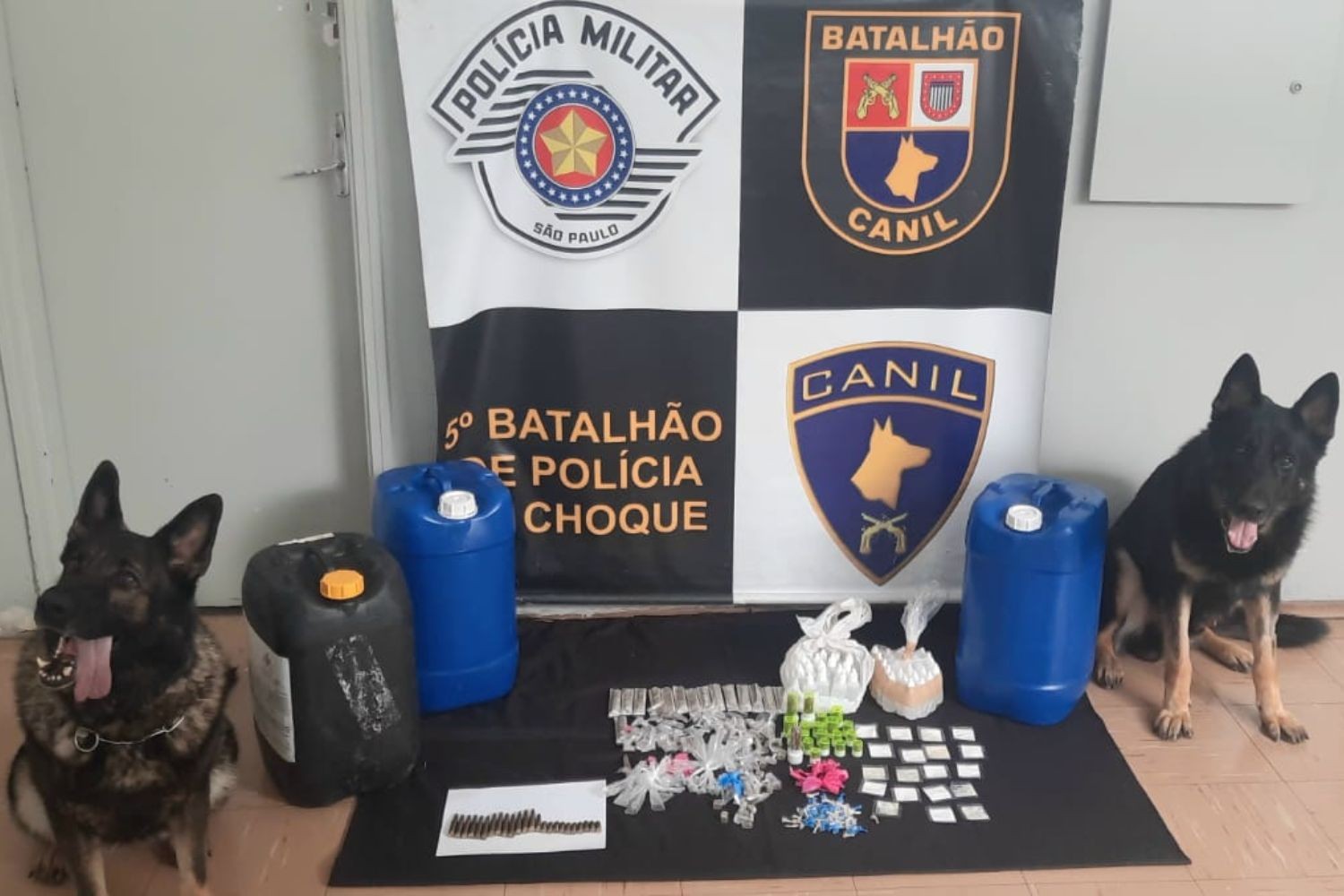 PM localiza 'casa-bomba' com auxílio de cães farejadores em morro do litoral de SP