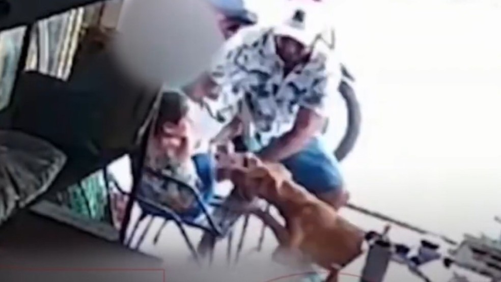 Criança de 5 anos é atacada por cão na calçada no Ceará; vídeo — Foto: Reprodução