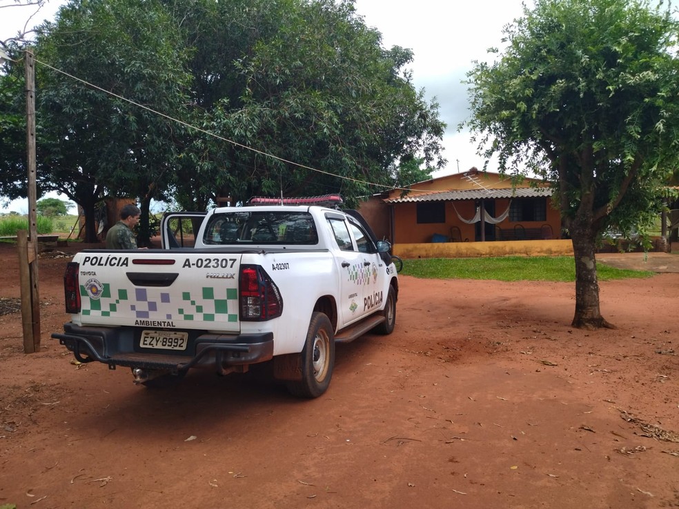 Cavalo foi vítima de maus-tratos após castração irregular em Teodoro Sampaio (SP) — Foto: Polícia Militar Ambiental