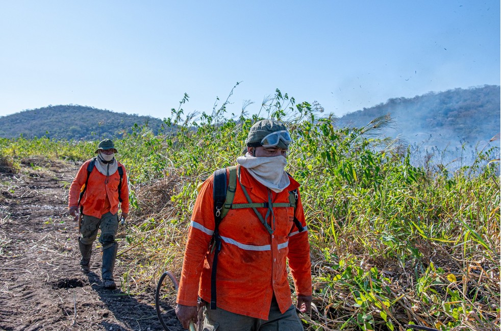 Brigadistas trabalham contra o fogo, no Pantanal. — Foto: Gustavo Figueirôa/Arquivo Pessoal