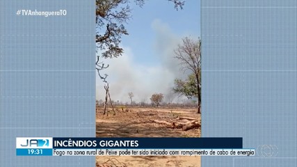 Incêndios gigantes são registrados em Peixe, na região sul do Tocantins