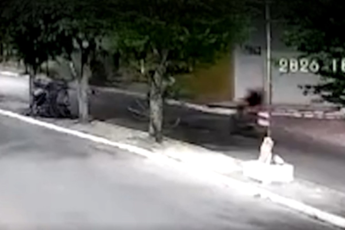 Adolescente de 14 anos morre após acidente de moto em Cupira; VÍDEO
