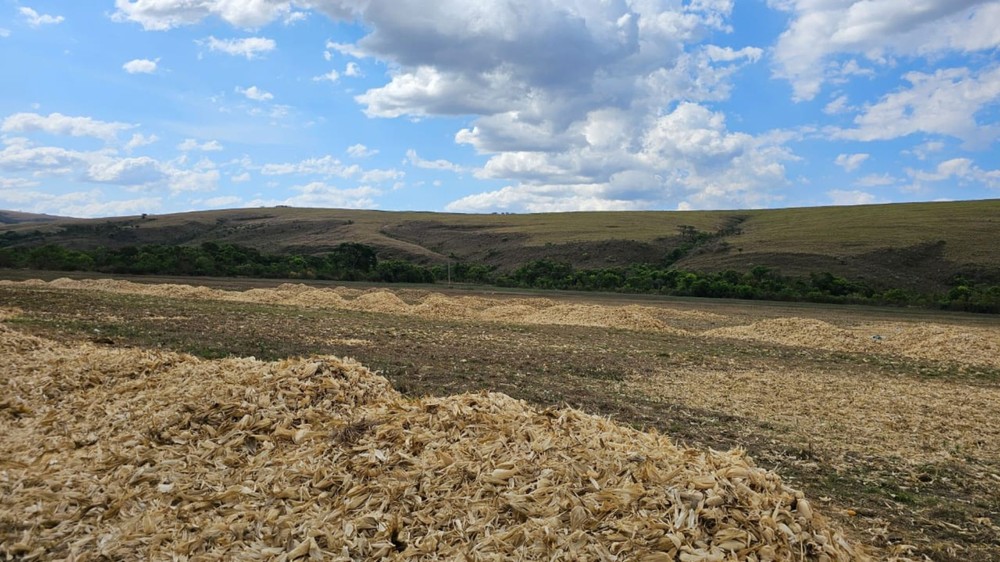 Trabalhadores que comiam frutas do chão para matar fome e tinham 'dívidas artificiais' vão receber direitos trabalhistas em MG