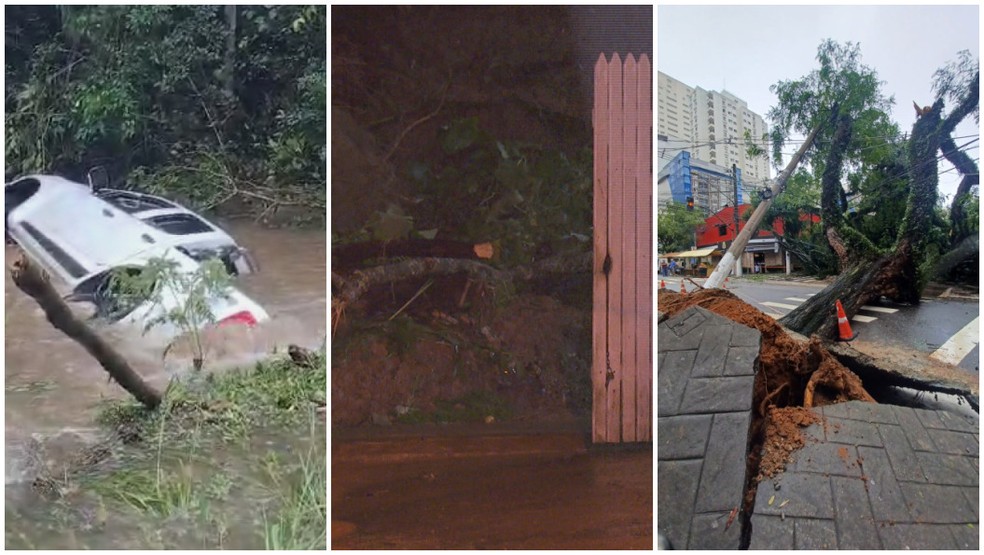 Mortes foram registradas em Juquitiba e São Bernardo do Campo — Foto: Arquivo Pessoal/TV Globo