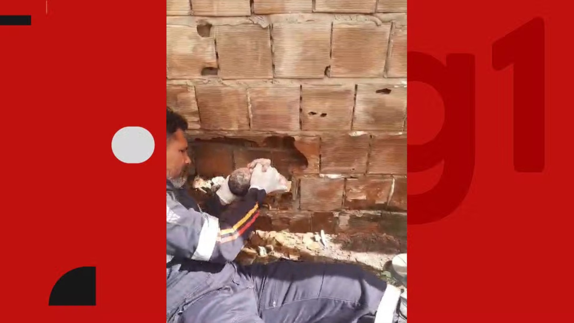 Recém-nascido é encontrado abandonado entre duas residências no Litoral Sul da Paraíba; VÍDEO