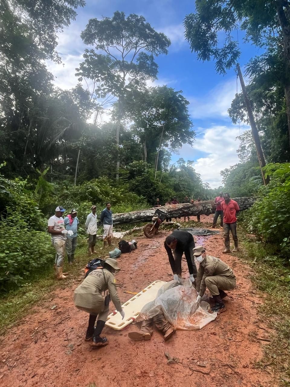 Árvore cai e mata moradores dentro da Reserva Extrativista Chico Mendes em Xapuri