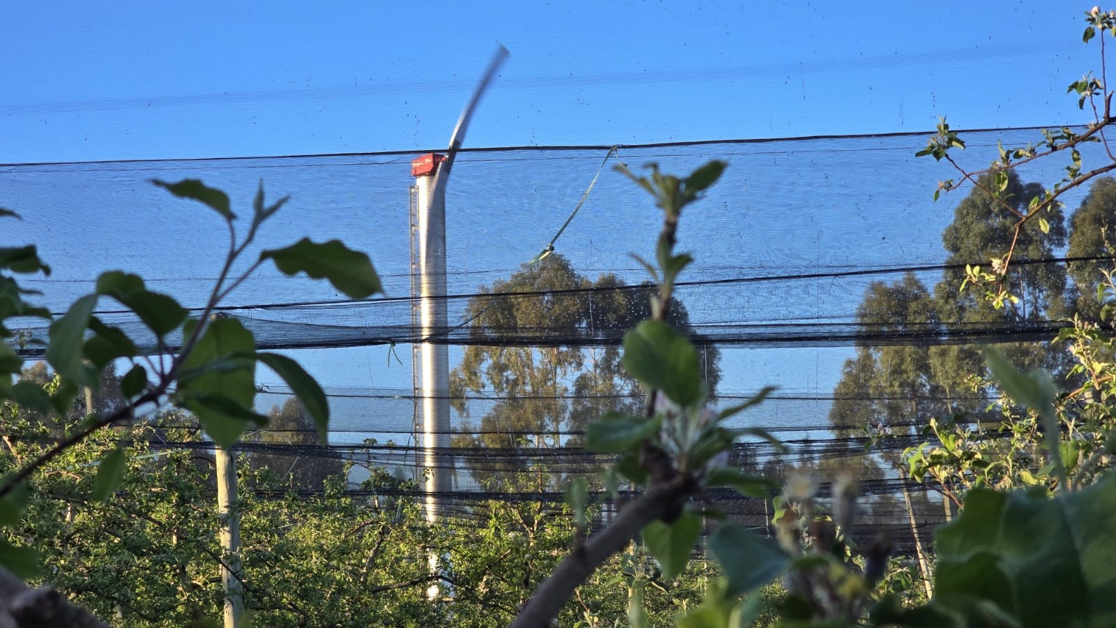 Máquinas são ligadas para proteger plantação de geada e frio intenso em amanhecer abaixo de -1°C em SC