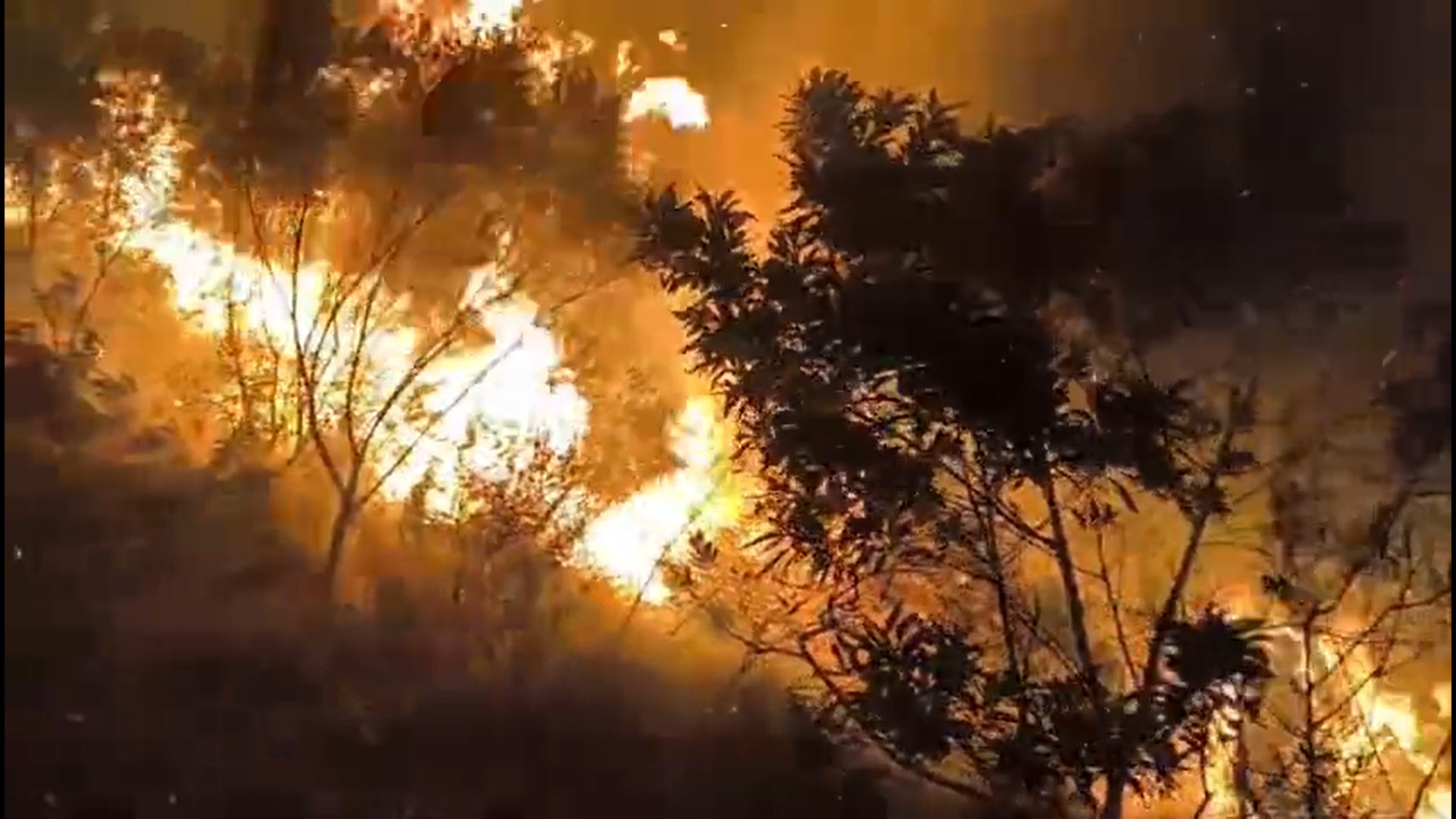 Incêndio no Morro do Canta Galo em Ilhabela é controlado após 12 horas de combate