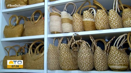 Artesãos e pesquisadores lutam para colocar em prática o selo do capim dourado