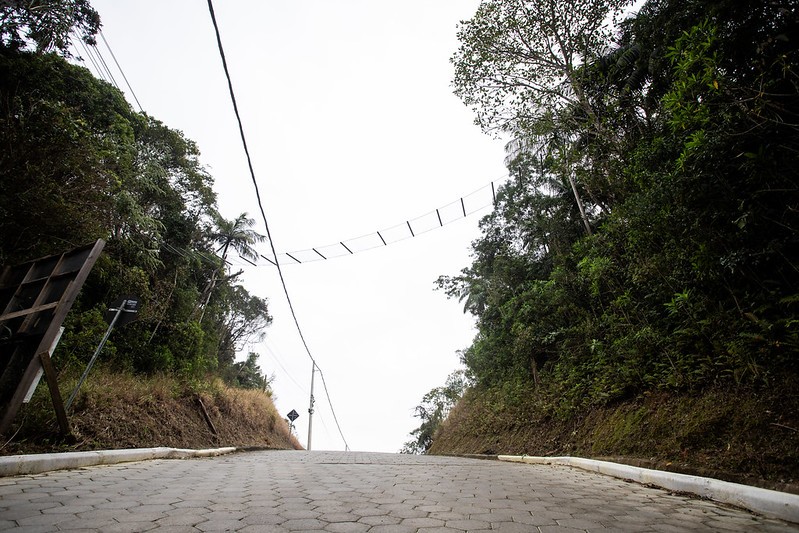 Passa-faunas no Sertão do Ribeirão avançam proteção da fauna silvestre