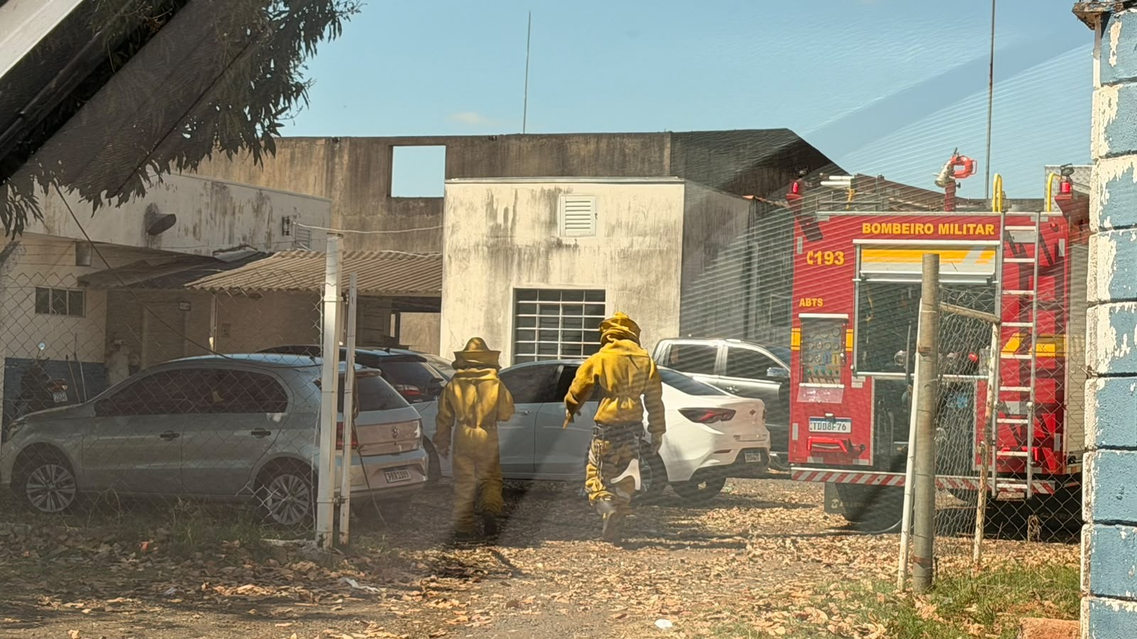 Idosa é atacada por abelhas no bairro Guarani, em Uberlândia