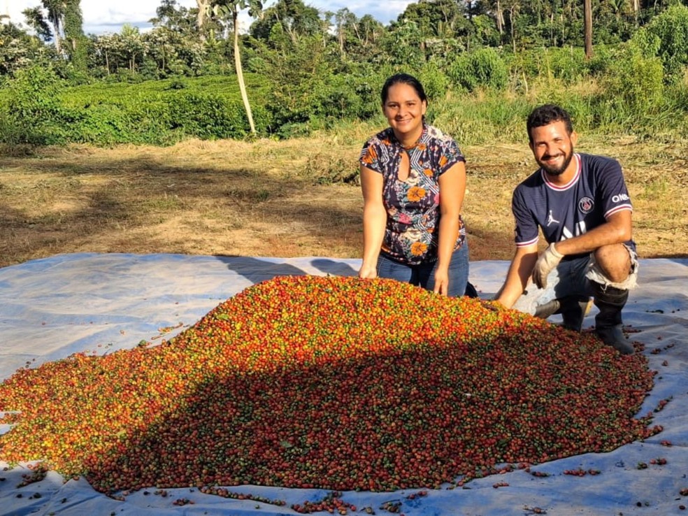 Produção de café saltou mais de 100% no Are — Foto: Arquivo pessoal