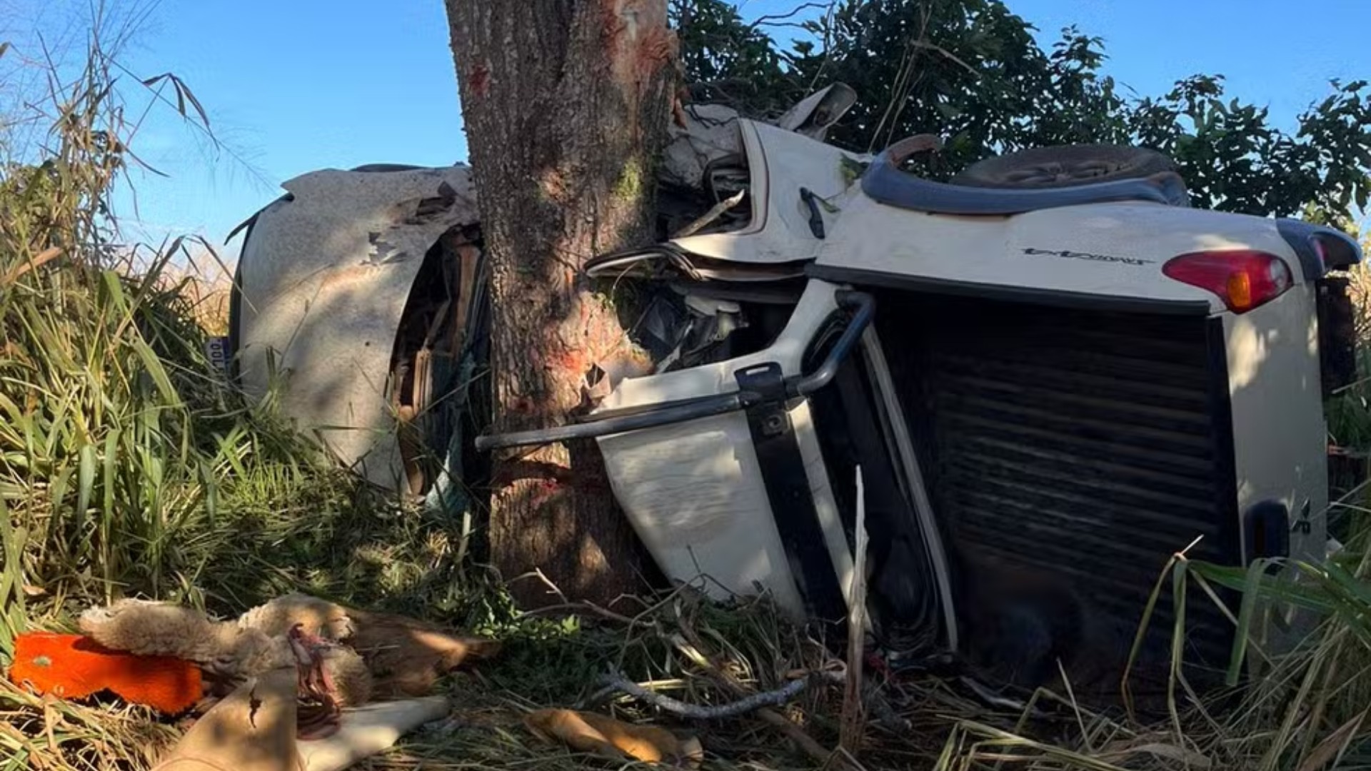 Funcionários de fazenda mortos em acidente voltavam de festa em Miranda