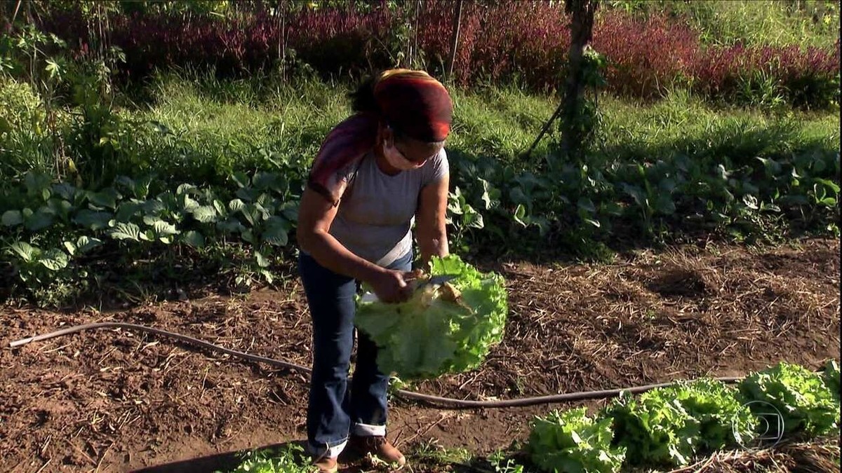 Clube Agro Brasil transforma compras em pontos para agricultor adquirir  produtos - Dinheiro Rural