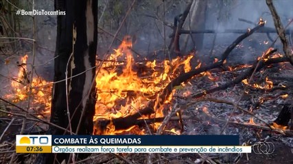 Bombeiros realizam força tarefa para combate e prevenção de incêndios
