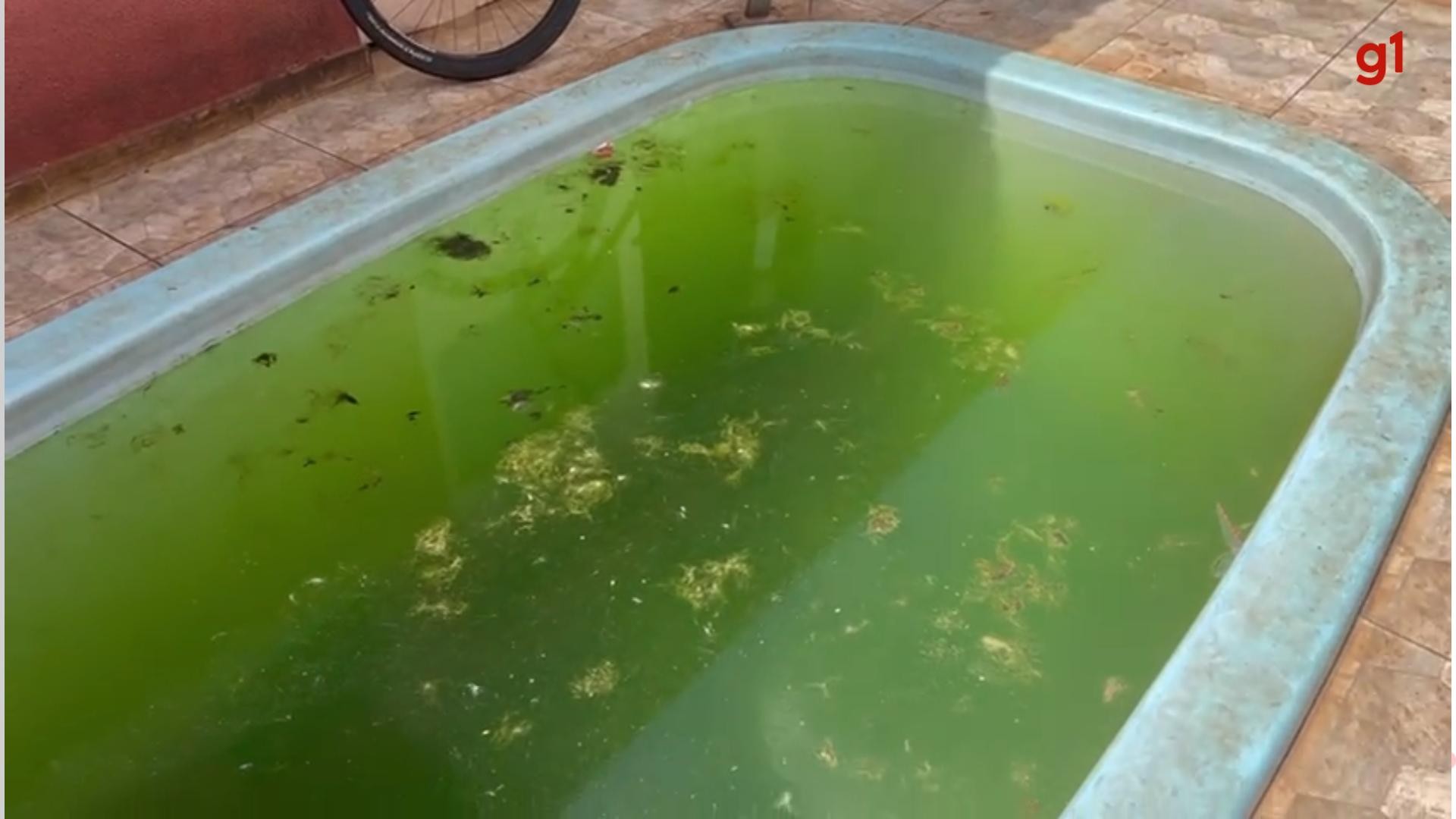 VÍDEO: Polícia encontra piscina com criadouro de dengue durante operação Maringá