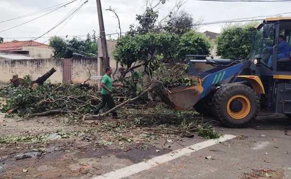 TV Paraguaçu - Raio atinge e mata cavalo durante temporal, em Presidente  Prudente
