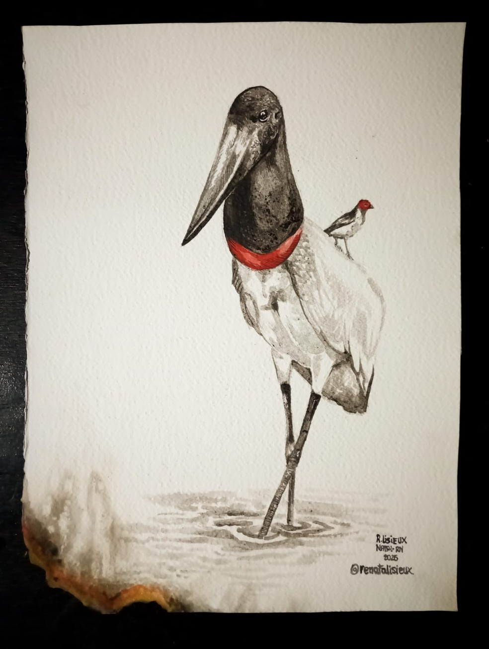 Obra feita com cinzas dos incêndios do Pantanal — Foto: Reprodução/exposição Cinzas da Floresta – Bioma Pantanal