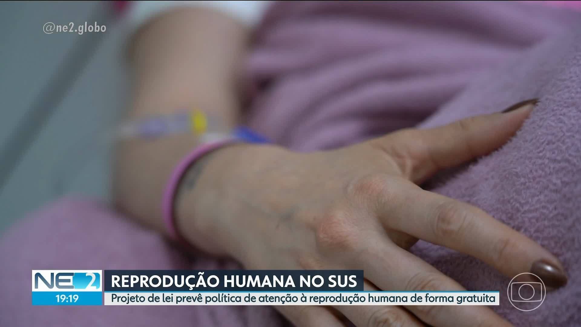 VÍDEOS: NE2 de quarta-feira, 26 de novembro de 2025