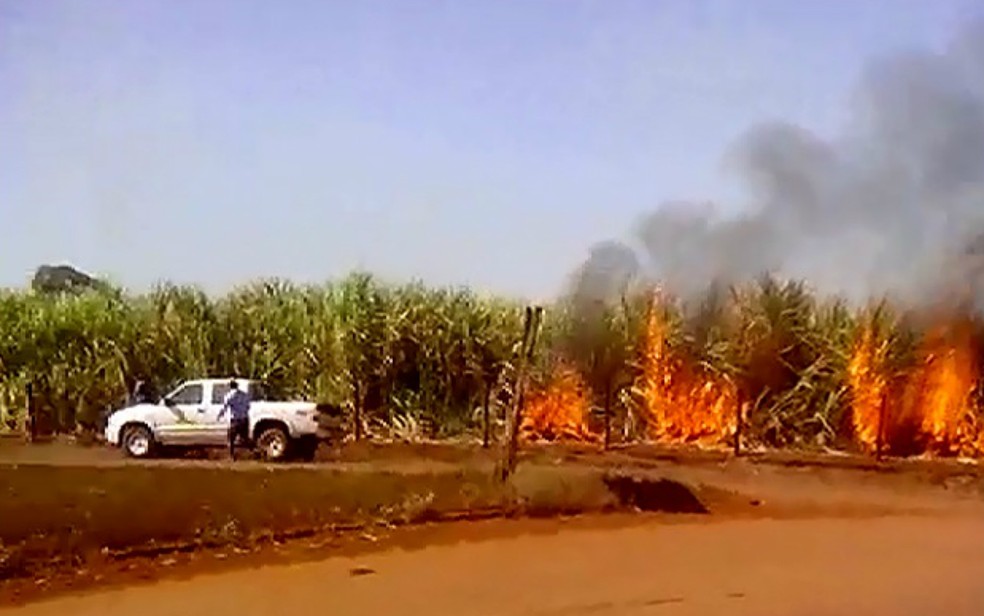 Tratorista registra equipe de usina ateando fogo a canavial em