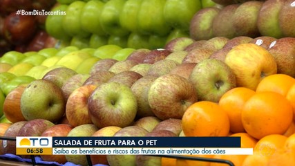 Cachorro pode comer fruta? saiba quais os benefícios e riscos