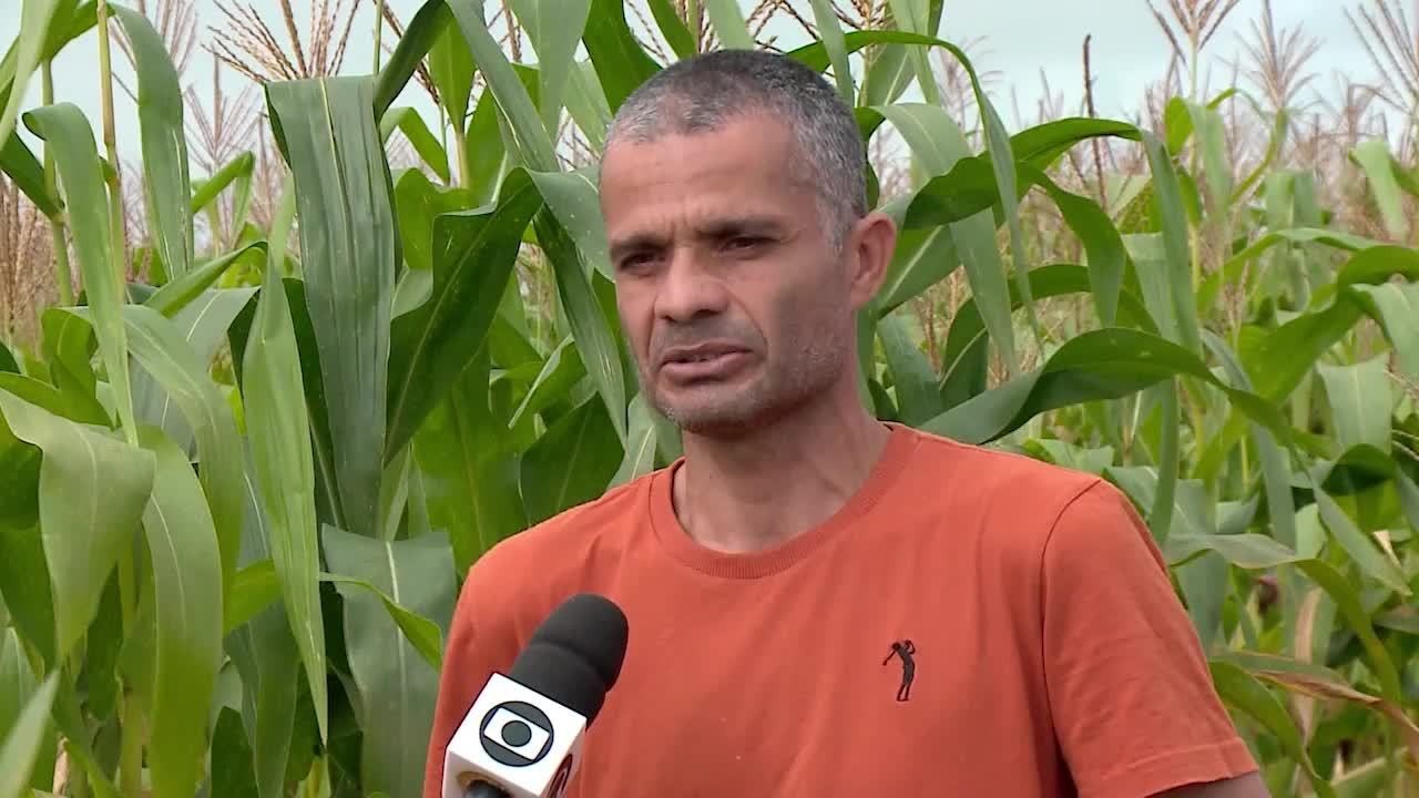 VÍDEOS: Gazeta Rural de 27 de julho