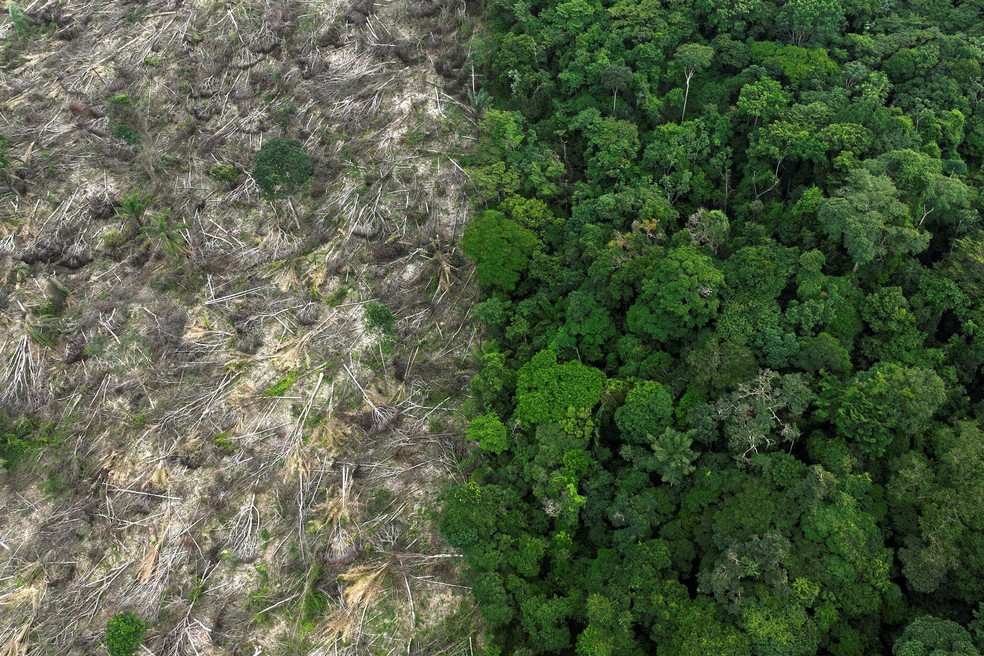 Foto aérea mostra uma área desmatada durante uma operação de combate ao desmatamento perto de Uruara, Estado do Pará, em janeiro de 2023. — Foto: Reprodução/Reuters