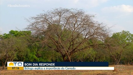Biólogo fala sobre a importância de cerrado no Bom Dia Responde