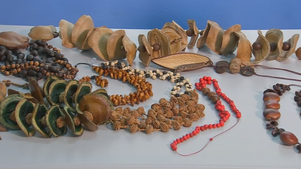 1 de 1
Artesãs de Itapetininga transformam matéria-prima da natureza em joias biodegradáveis — Foto: Reprodução/TV TEM