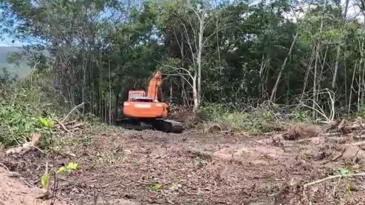 Responsáveis por desmatamento ilegal de 73 hectares são multados em R$ 365 mil em MT 